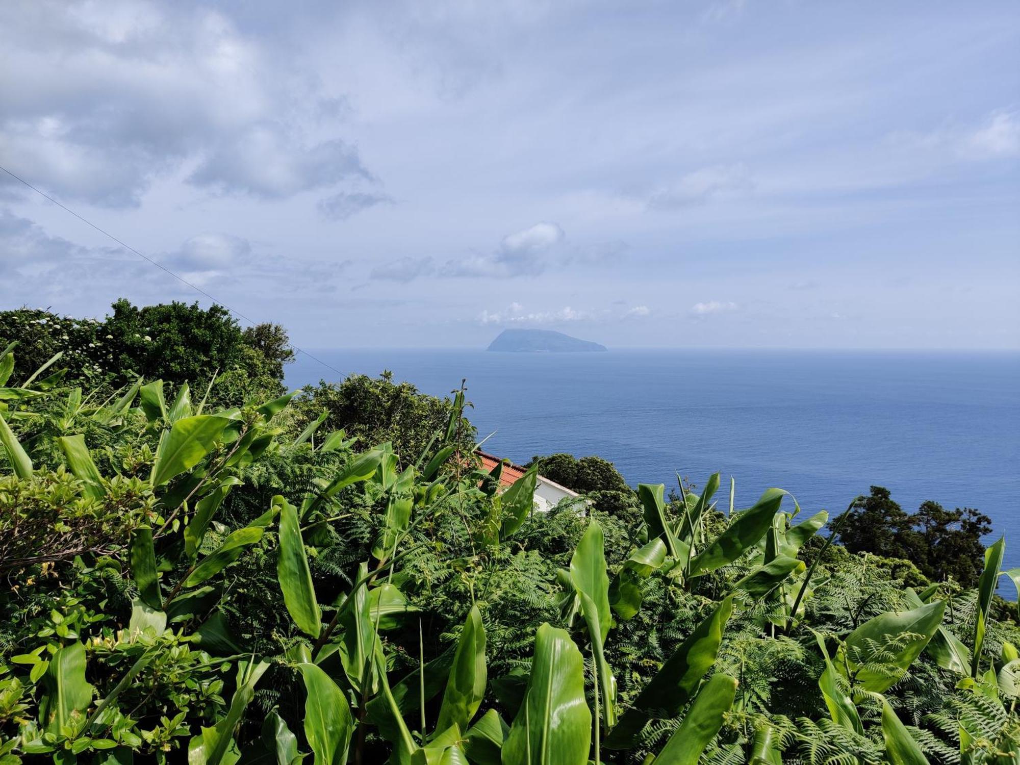 Vila Ocean View Cedros Santa Cruz das Flores Exteriér fotografie